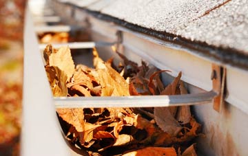 Pedlinge gutter cleaning companies